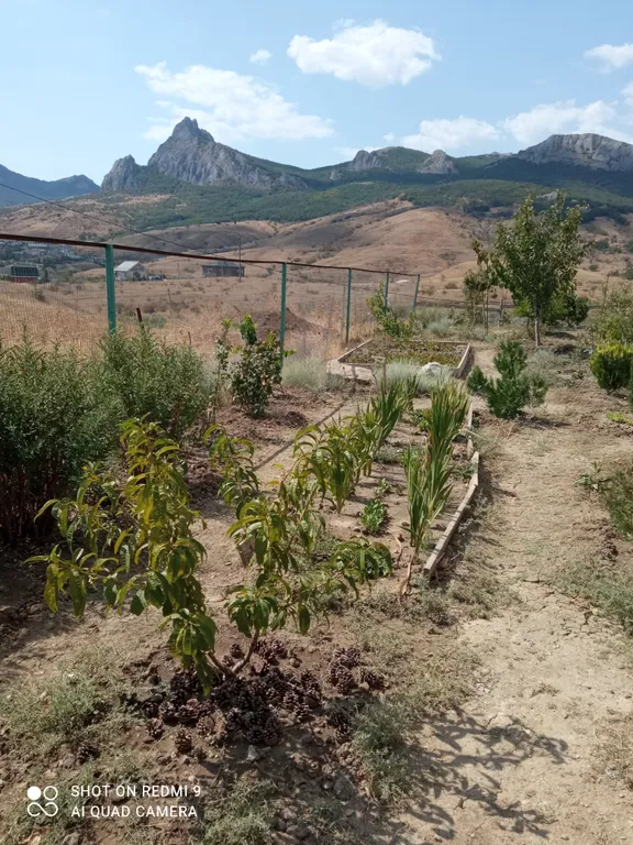 Комната в частном доме