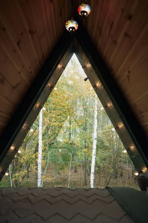 Шале в Беловежской Пуще Forest Soul Aframe