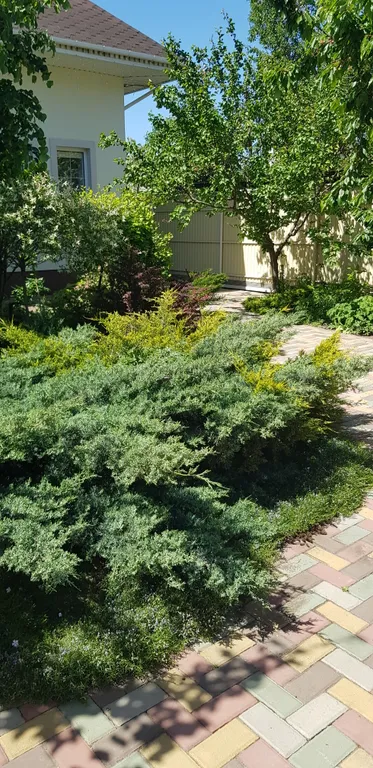 Уютная комната-студия р-н парк Поддубного