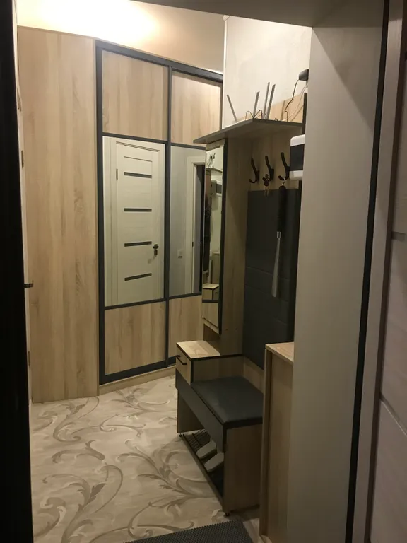 Однокомнатная квартира с окнами на парк Землячки рядом цирк, УДС Молот