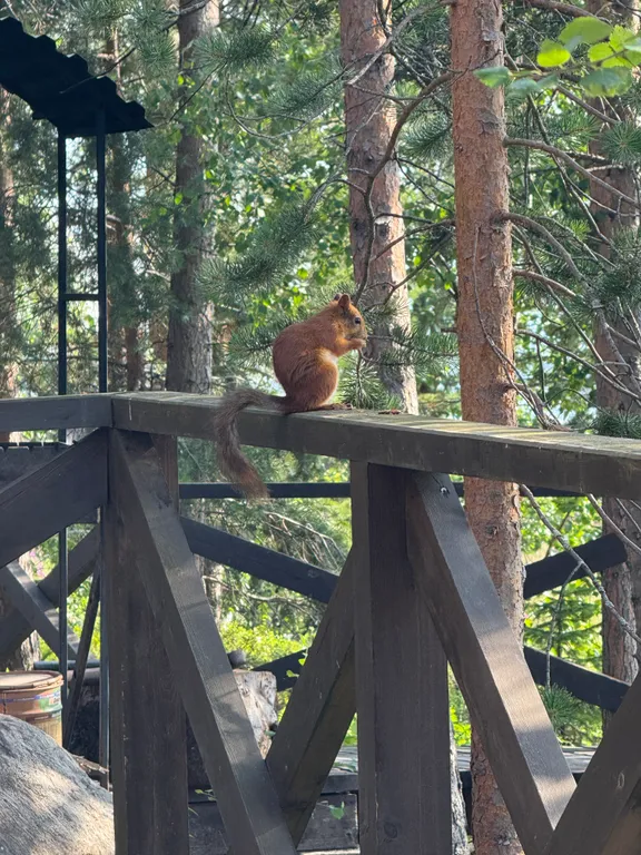 Дом на берегу