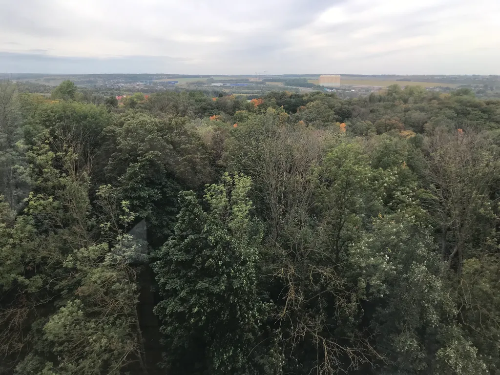 Апартаменты Deluxe