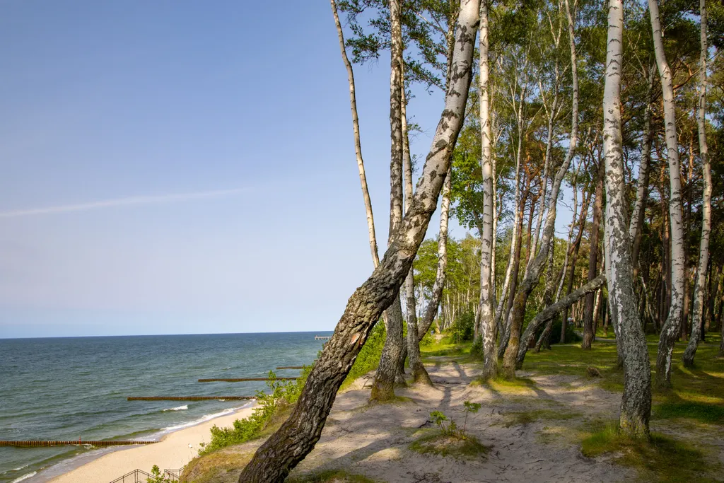 Квартира Квартира Студия 2 у Соснового бора — Пионерский