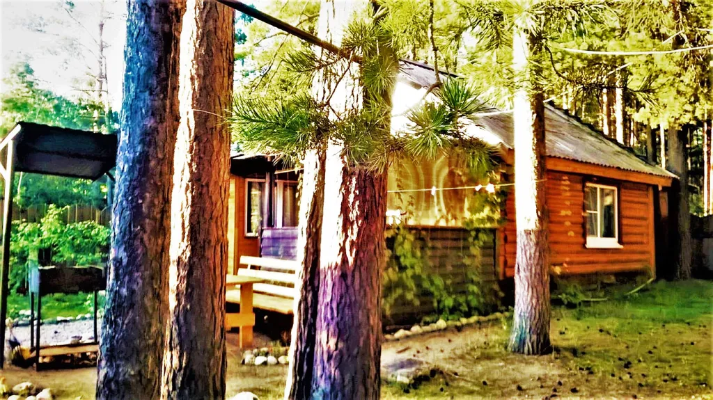 Коттедж Дом в турбазе Чайка, у озера в сосновом бору - Селигерский край — Турбаза Чайка