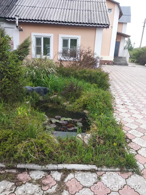 Гостевой домик студия