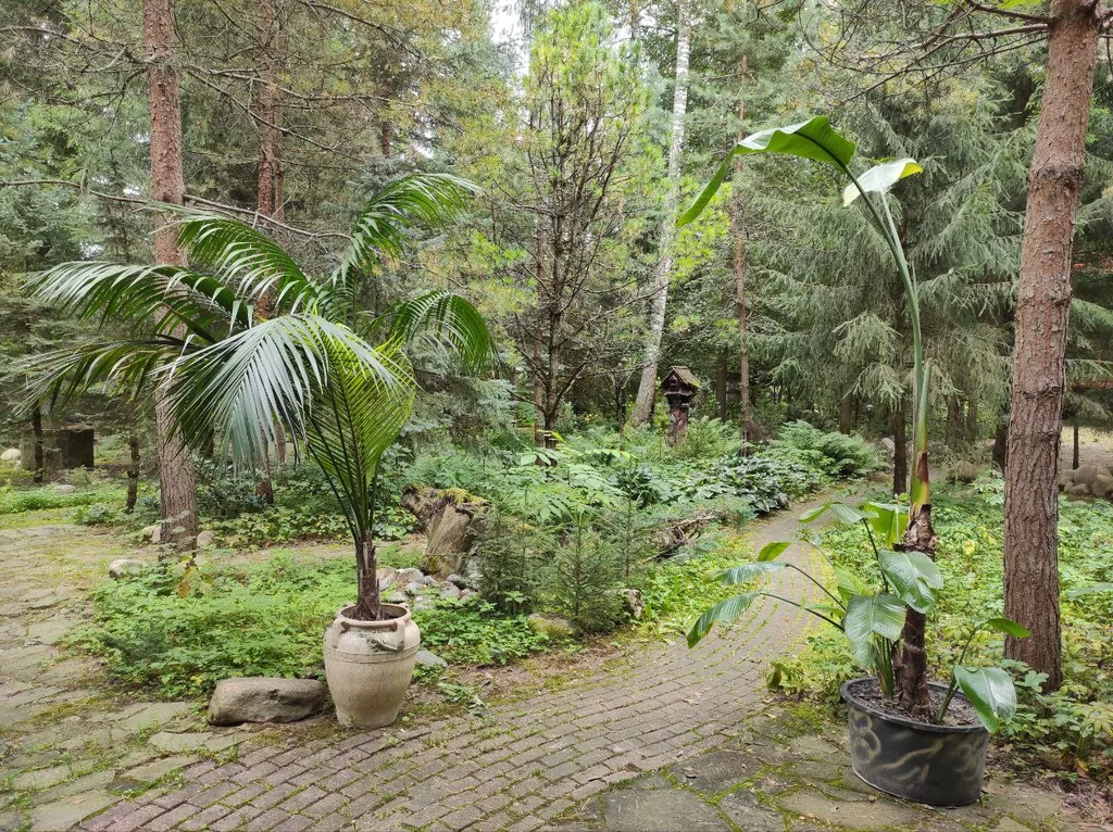 Коттедж Дом с тропическим бассейном, сауной и каминами — Московский