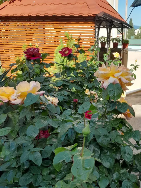 MilayDom-2-х этажный 2-х комнатный дом с вашей придомовой территорией