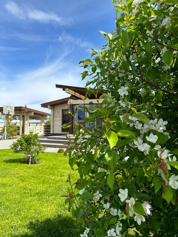 Дом-баня Nickol