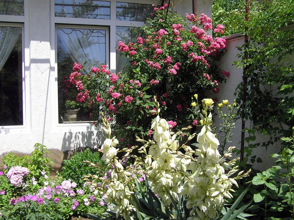 Дом в большом красивом закрытом дворе под ключ