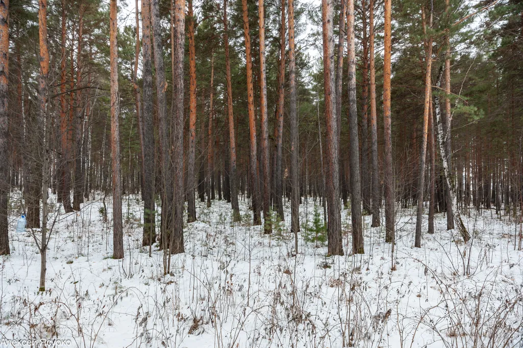 Однокомнатная квартира от аэропорта 10 минут пешком
