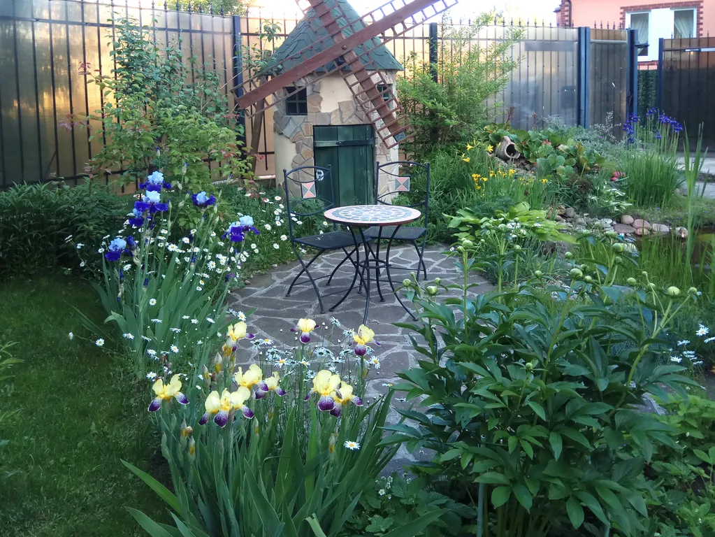 Квартира 1-комнатная Квартира — Светлогорск