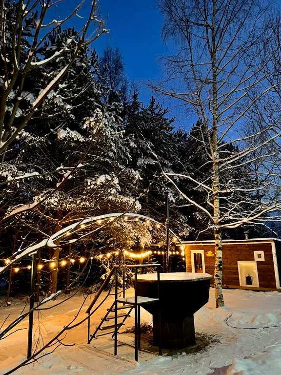 Уникальный купольный дом среди хвойного леса