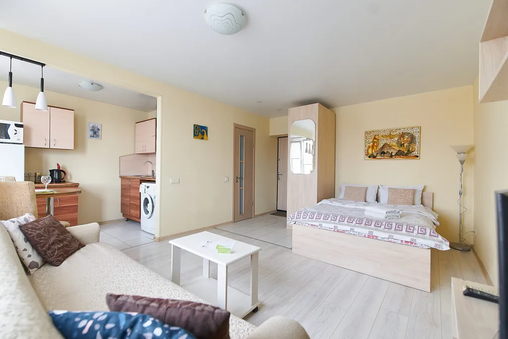 Стильная квартира-студия в центре