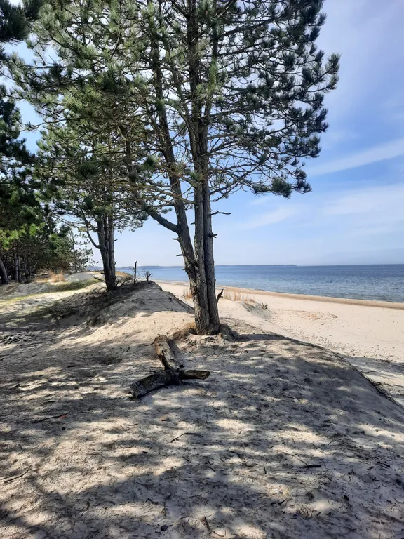 Дом  на побережье Балтийского моря