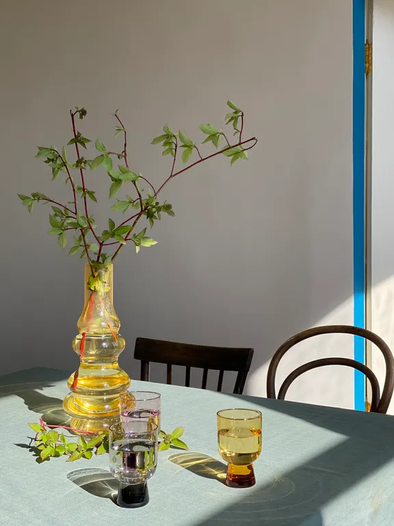 Исторический апартамент в центре