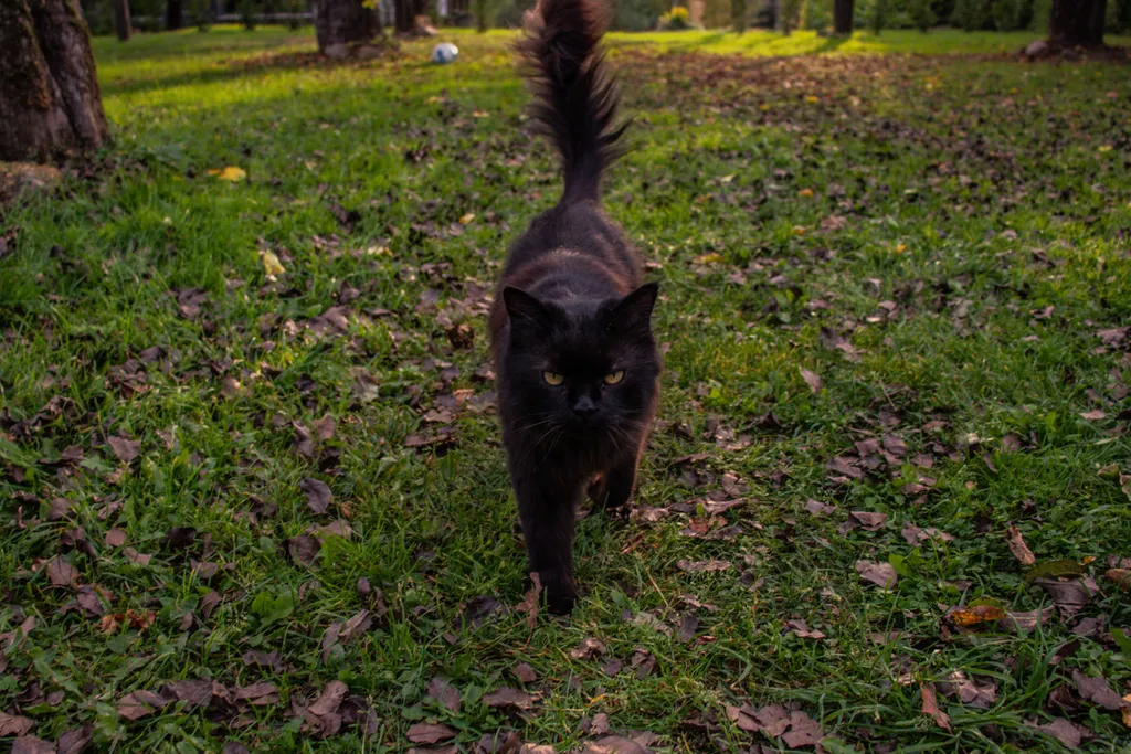 Дом-баня на высоком берегу Березины
