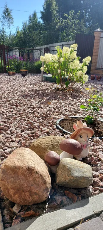 Коттедж 5-комнатный Дом — Кискелово