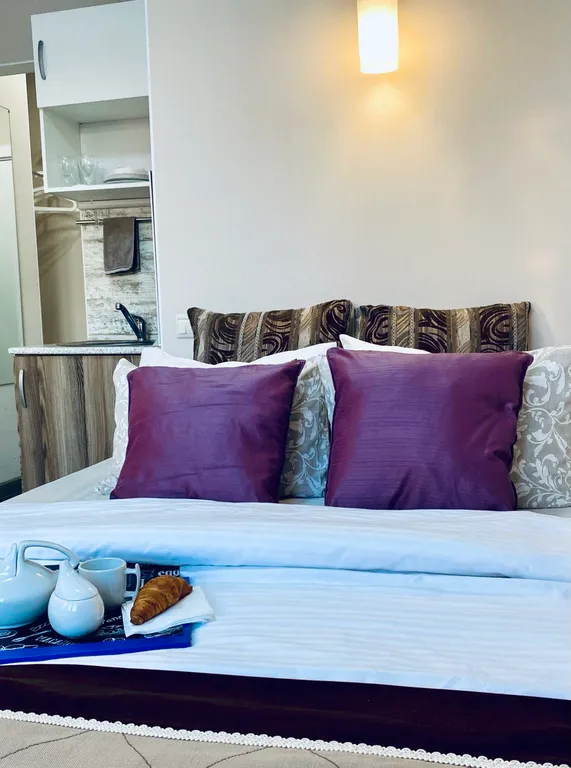 Флайт 2 апартаменты рядом с Шереметьево