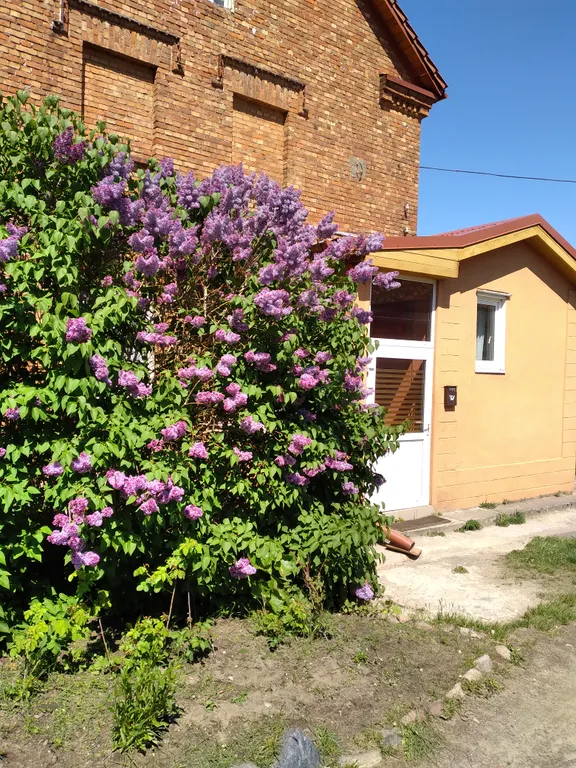 Квартира Скандинавский квартал — аренда посуточно в Янтарный