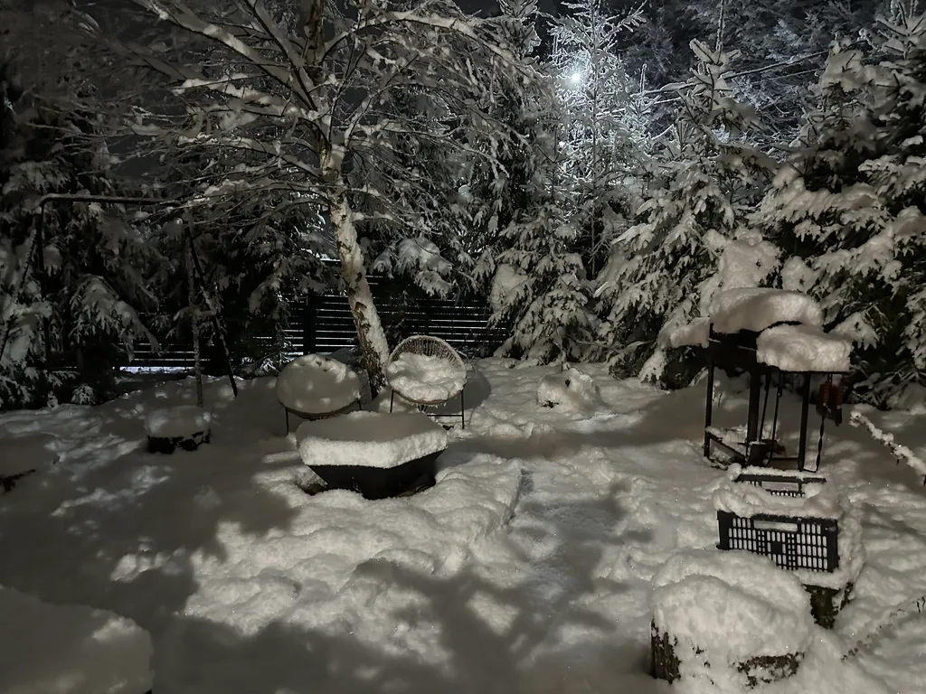 Дом Вапити - уютный коттедж на отдельном лесном участке