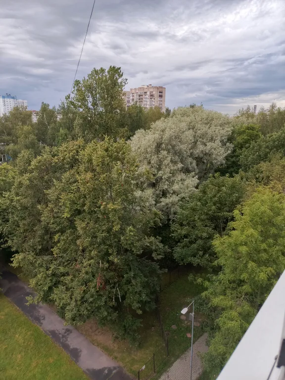 Квартира Уютненькая квартира с чудесным видом из окна — Санкт-Петербург