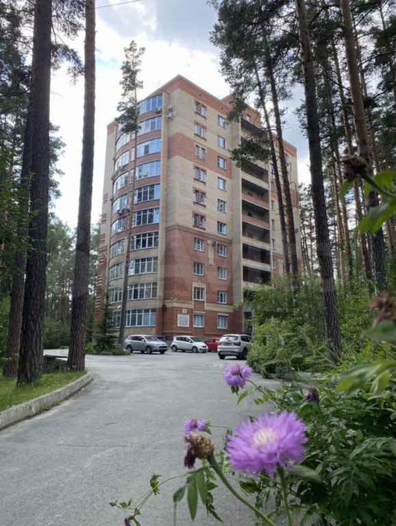 Квартира Апартаменты на территории озеро Еловое — аренда посуточно в Чебаркуль