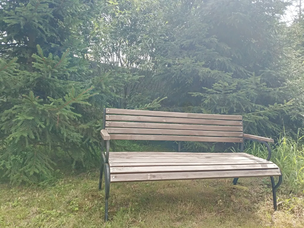 А-фрейм у леса