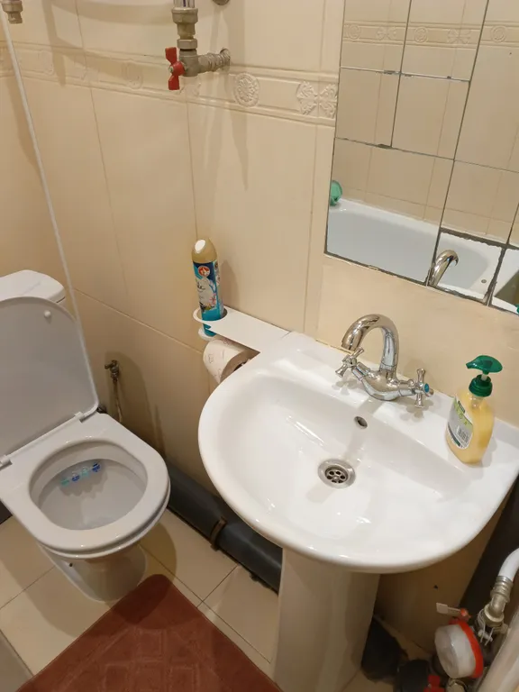 Уютная однокомнатная квартира