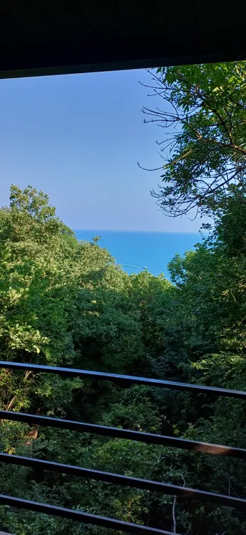 Уютная комната в доме Остановка Море с видом на море и лес