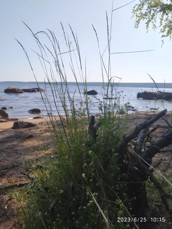 Дом на берегу озера