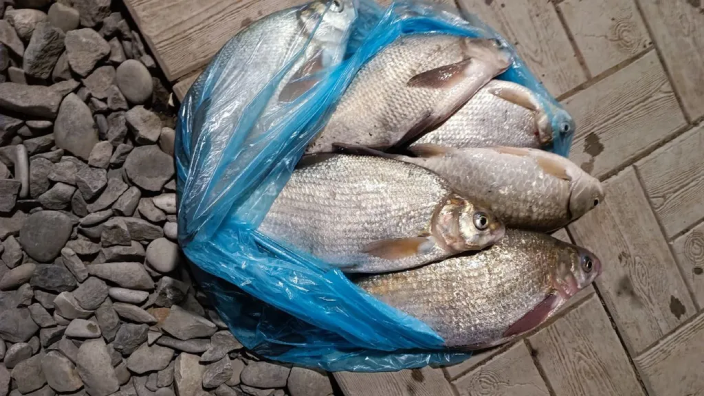 Уютный домик рыбака