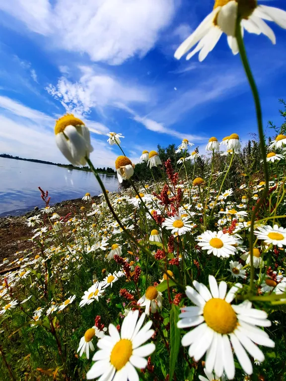 Уютный домик с сауной на берегу Ангары рядом с городом