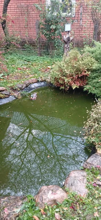 Уютный домик