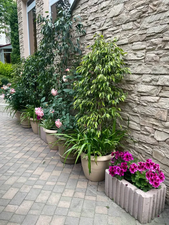 Апартаменты двухкомнатные на первом этаже - 7 мест