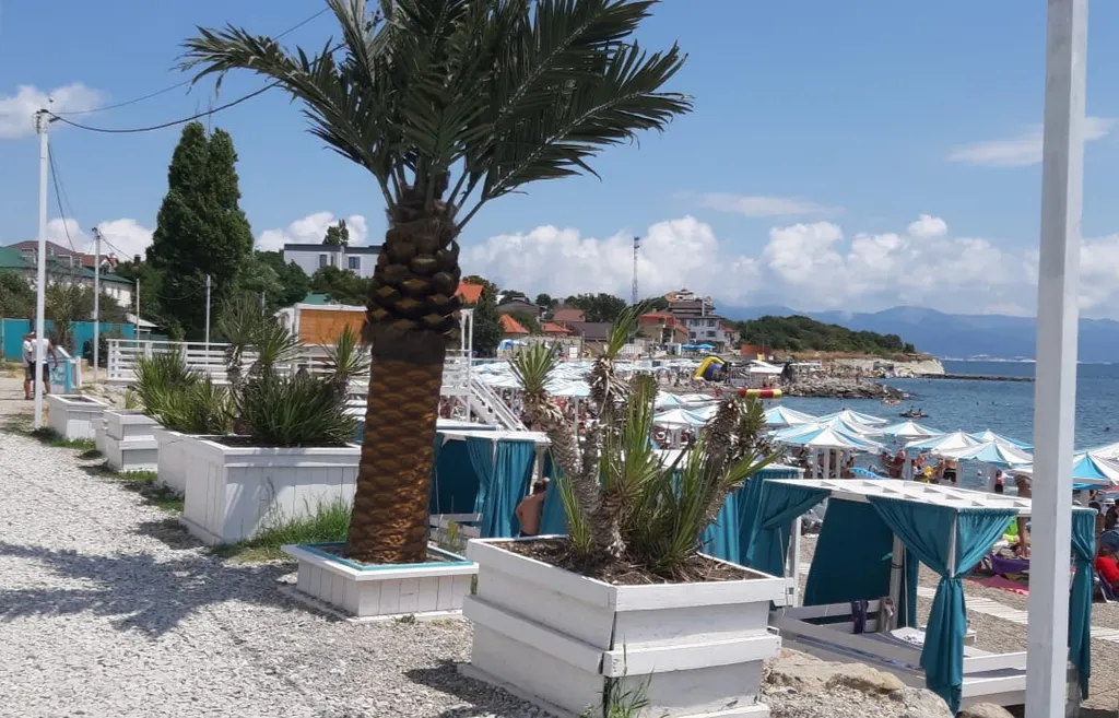 Квартира на первой линии у моря около пляжа