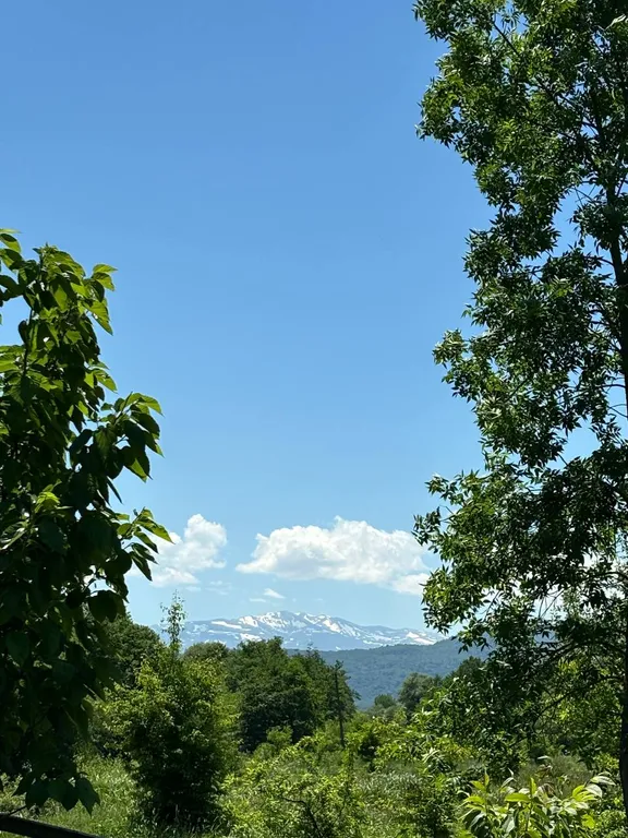 Коттедж Дом у Павла — Псебай