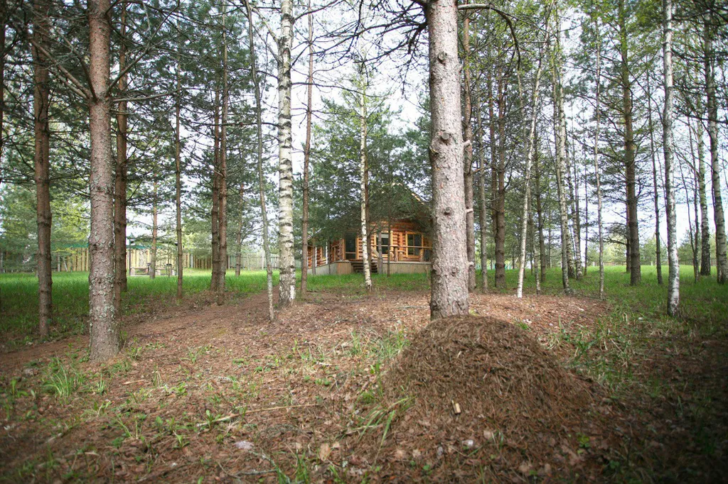 Уютный дом на лесном участке у озера, рядом с городом