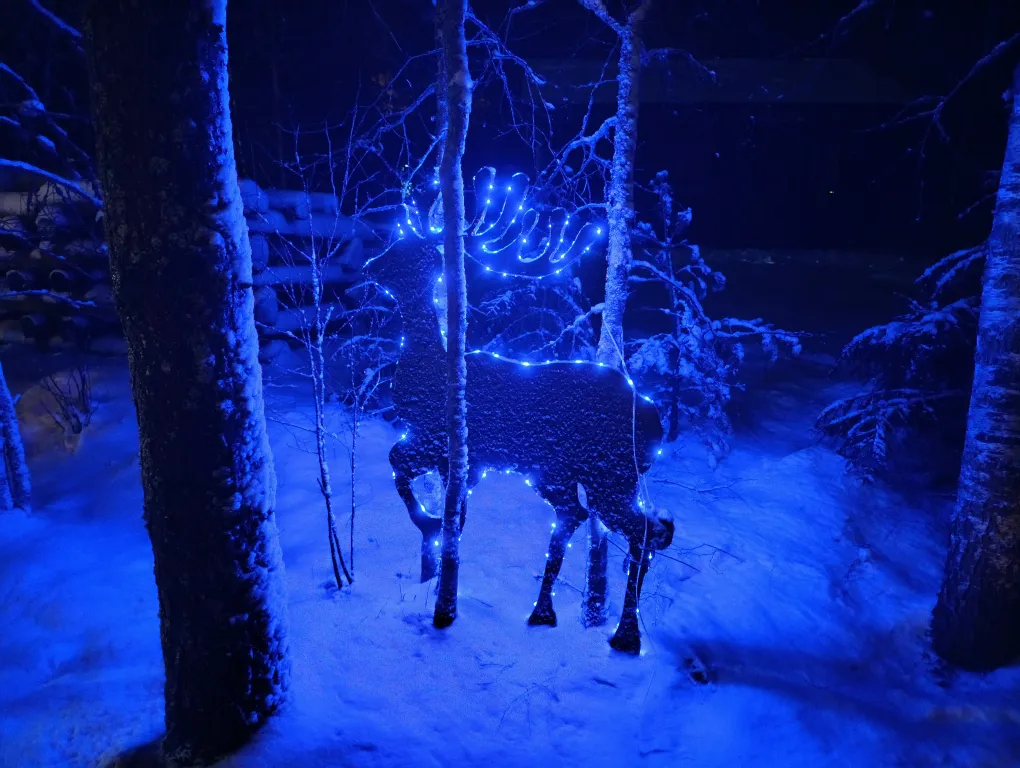 Гостевой дом На опушке леса