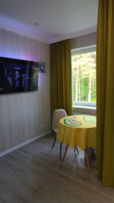 Уютная студия с шикарным видом на сосновый бор