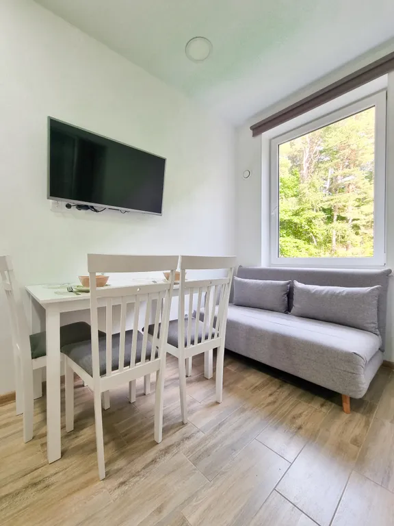 Студия с видом на сосновый лес