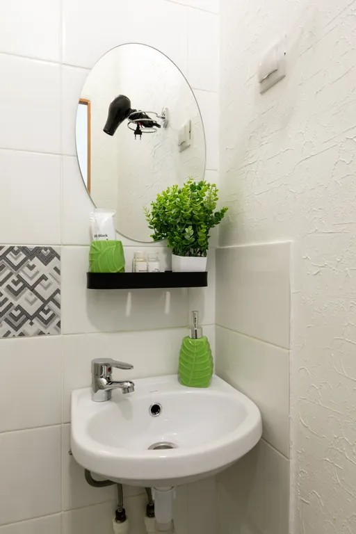 Студия рядом с зоопарком II