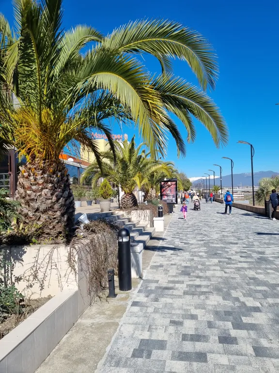 Квартира Квартира Студия Сррренто Парк, парк Южные Культуры — Сочи