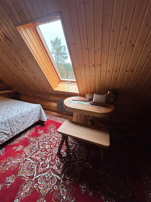 Дом с печью у Нарочи