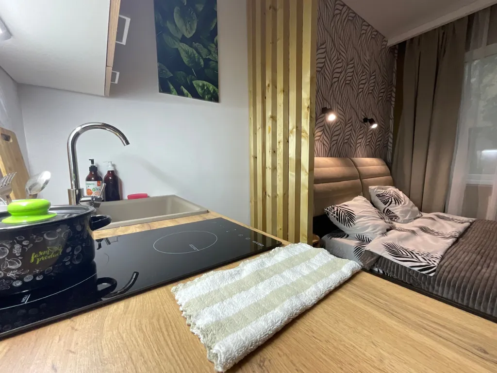 Благоустроенная студия в центре города