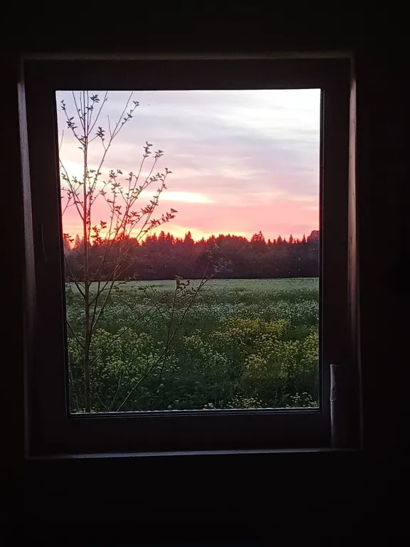 Коттедж Уютный домик с сауной — Волосово