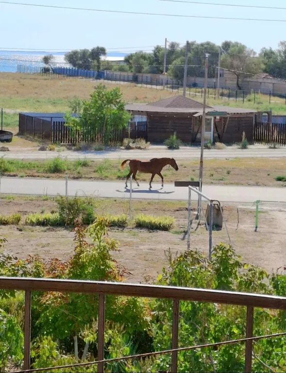 Комната с балконом видом на море