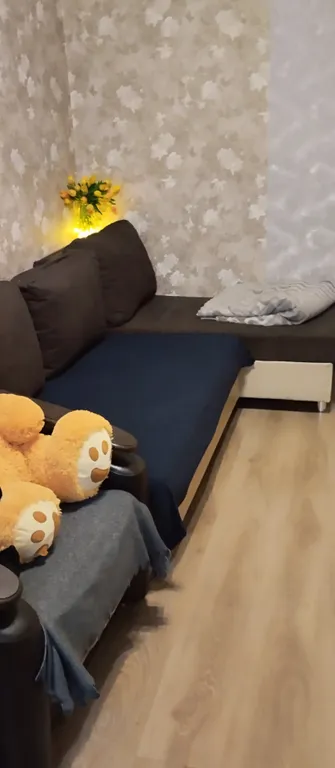 Квартира рядом с горнолыжным склоном