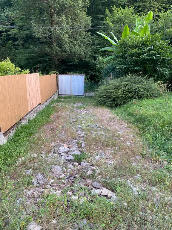 Коттедж Летний дом в зеленом окружении — Сочи