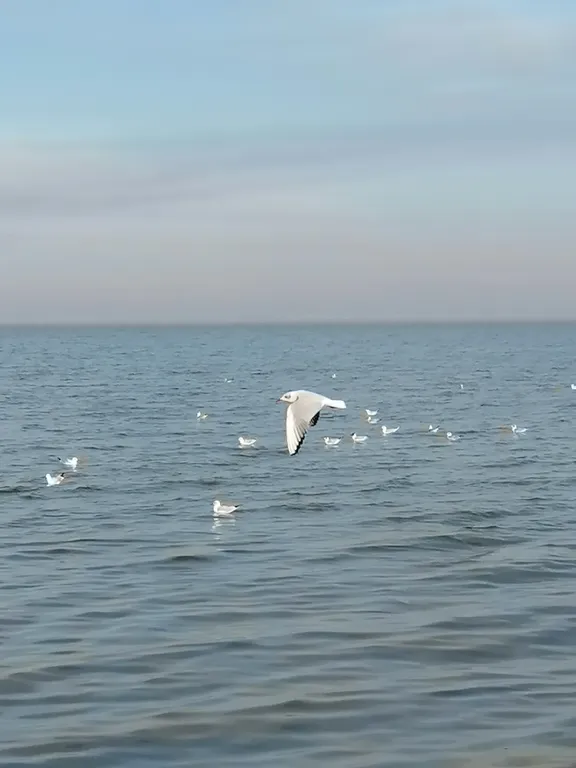 Уютная квартира рядом с парком