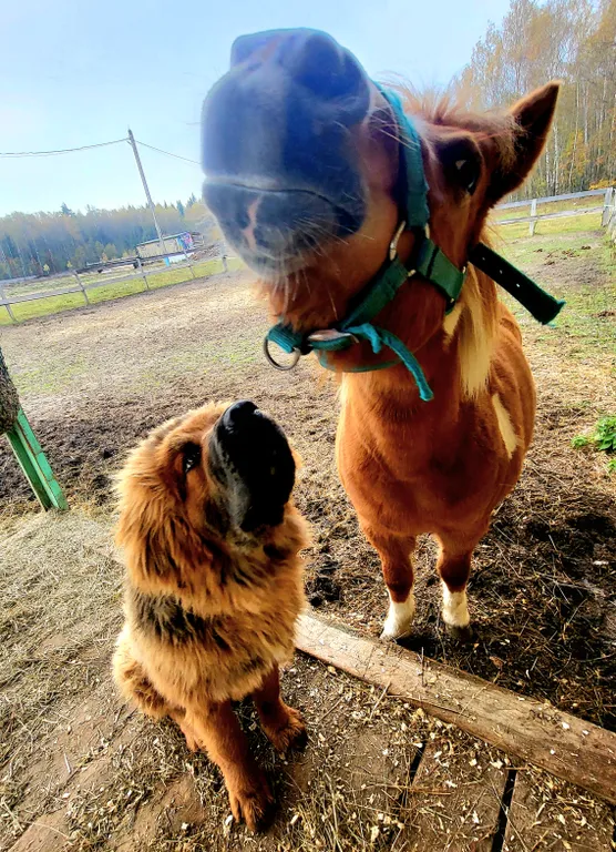 Уютный домик на семейной экоферме